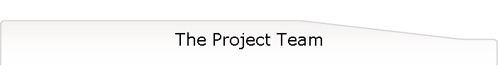 The Project Team