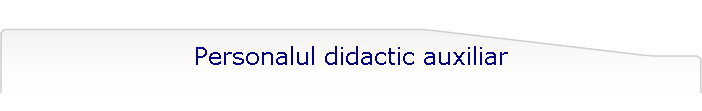 Personalul didactic auxiliar