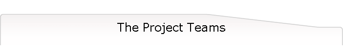 The Project Teams