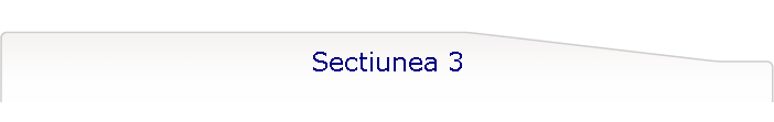 Sectiunea 3