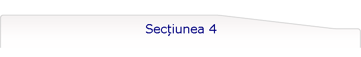 Secțiunea 4